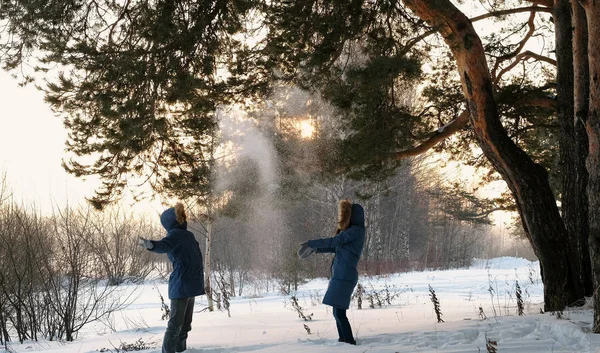 Homem e mulher jogando bolas de neve na floresta de inverno. Pôr do sol na floresta de inverno . — Fotografia de Stock