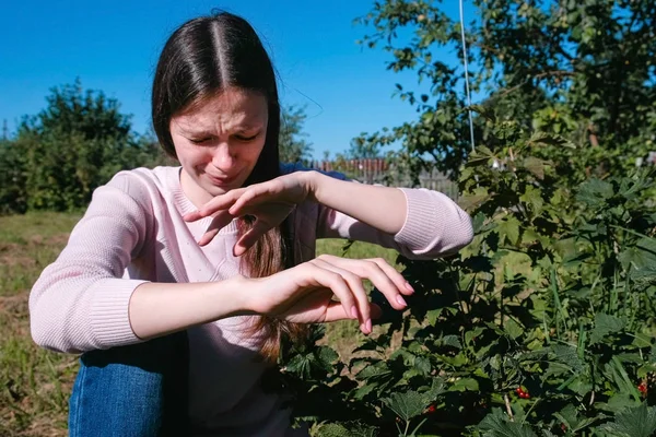 Mujer morena joven come grosella roja bayas agrias, arrancándolo de los arbustos en el país . — Foto de Stock