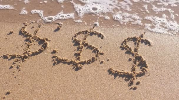 ドル記号は、海砂に書いた。波洗い流された碑文. — ストック動画