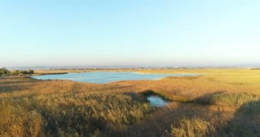 Çayırlar, bataklıklar şehir arka plan üzerinde hava görüntüleri ile kuğu günbatımında ıslak.