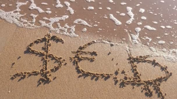 Euro, Bitcoin e Dollaro segni scritti nella sabbia del mare. Onde lavarono via l'iscrizione . — Video Stock