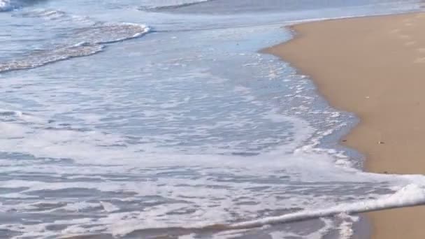 Long sea waves with foam on the sandy beach. — Stock Video