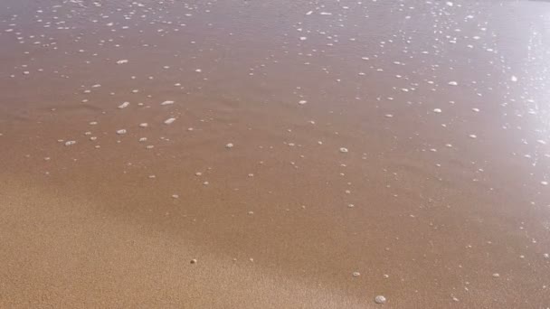 Yumuşak deniz dalga köpüğü kum plajındaki ile. — Stok video