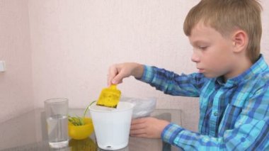 Bitki bakım kavramı. Çocuk houseplant dikiyor. Dünya küçük bir showel ile bir tencerede kaydırır. Yan görünüm.