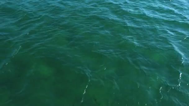 Grön tydligt se vatten med mycket små vågor. — Stockvideo