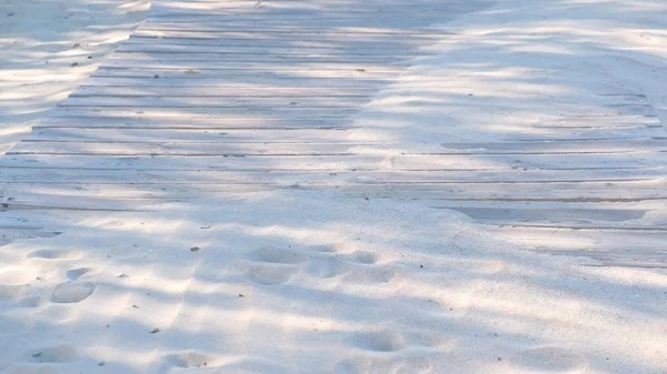Тропа для прогулок по песчаному пляжу. Следы животных и людей на песке . — стоковое фото