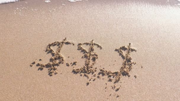 Napisane w piasku morskiego znaki dolara. Fale zmyte napis. — Wideo stockowe