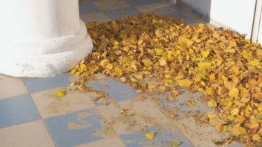 Evin bahçesinde bir sütunla verandada güzel sonbahar yaprakları.