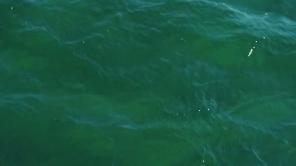 Yeşil açık bakınız su çok küçük dalgalar ile. — Stok video