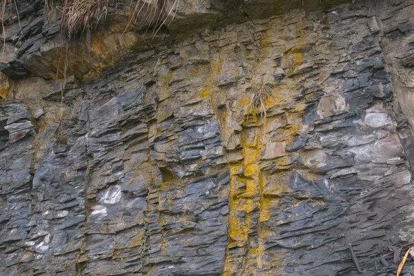 Rock close-up view. Gray and yellow rock texture.
