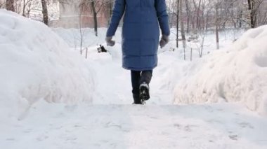 Kadın goes aşağı karlı bir merdiven, merdiven. Karlı havalarda düşen kar ile günde sırasında şehrinde Kış Parkı. Arkadan görünüm.