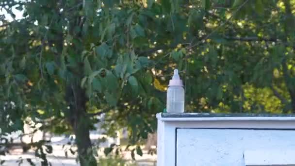 公園のおしゃぶりと哺乳瓶。誘拐罪の概念. — ストック動画