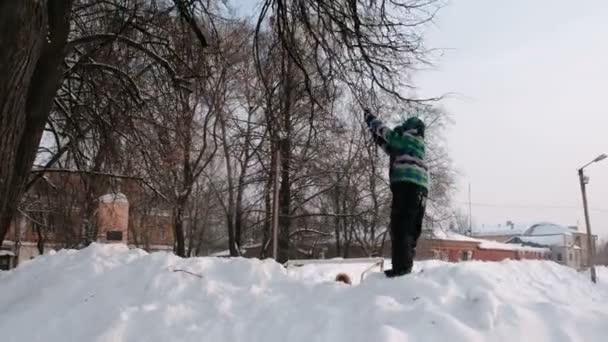 Niño balanceándose en una rama de árbol en el parque de la ciudad de invierno en un día nevado con nieve cayendo . — Vídeo de stock