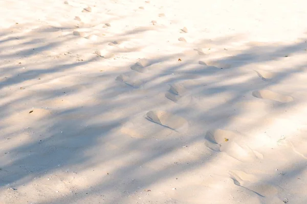 Rastros de animales y personas en la playa de arena . —  Fotos de Stock