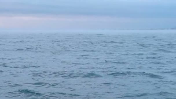Dimma och dimma över havet. Vackra seascape med blå moln och rosa solnedgång. Lugnt hav. — Stockvideo