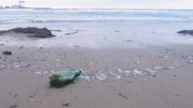 Plastik şişe ve yosunlar deniz kum plaj