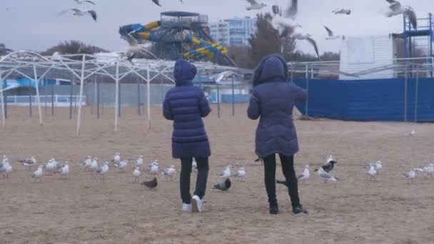 Dwie kobiety paszy ptaki mewy na piaszczystej plaży, w zimie. — Wideo stockowe