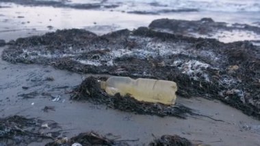 Plastik şişe ve yosunlar deniz kum plaj.