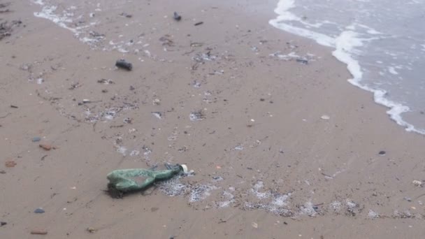 Zielone butelki z tworzyw sztucznych i wodorosty na piaszczystej plaży nad morzem. — Wideo stockowe