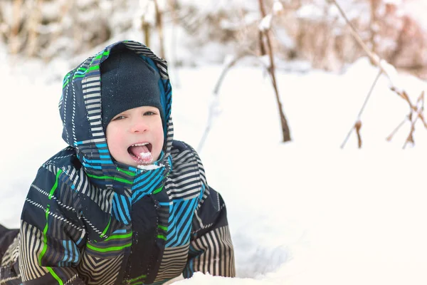 Chico está comiendo nieve en invierno y jugando en el bosque . —  Fotos de Stock