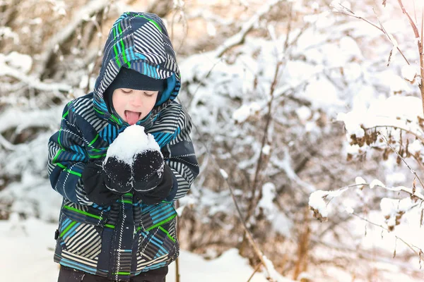少年は、冬に雪を食べると森で遊ぶ. — ストック写真