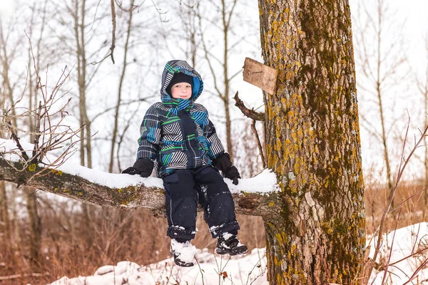 Маленький мальчик сидит на ветке деревьев в зимнем лесу . — стоковое фото