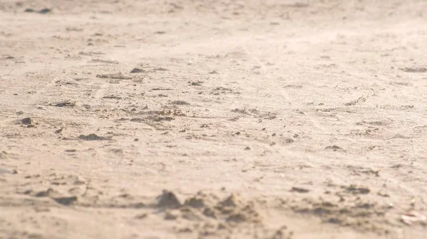 Tormenta de arena primer plano en la playa de arena con viento . —  Fotos de Stock