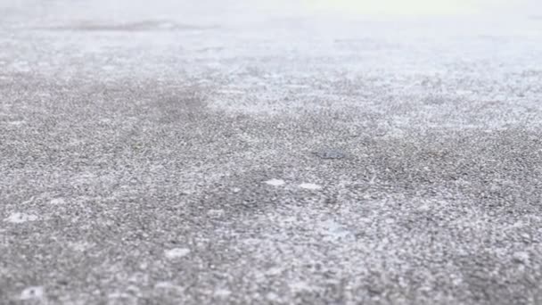 雪でアスファルトの上の氷します。美しい白のクローズ アップ ビュー. — ストック動画