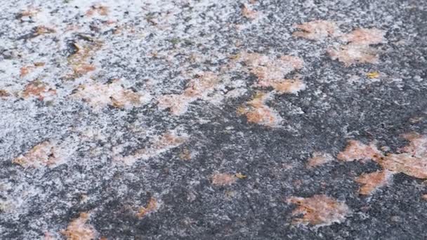 Snow and ice with yellow leaves on asphalt in park. — Stock Video