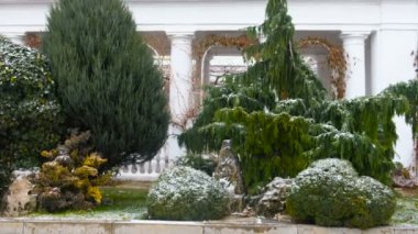 Çiçek ve Havva yeşil bitkiler ile Güney bölgesinde kar.