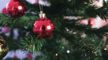 Dalları Noel ağacı üzerinde kırmızı parlak toplar. Noel ağacı ışıkları ile Noel çelenk