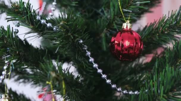 Otáčející se červené lesklé kouli na vánoční stromek větve. — Stock video