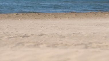 Kum fırtınası ve deniz sahilde güçlü rüzgar.