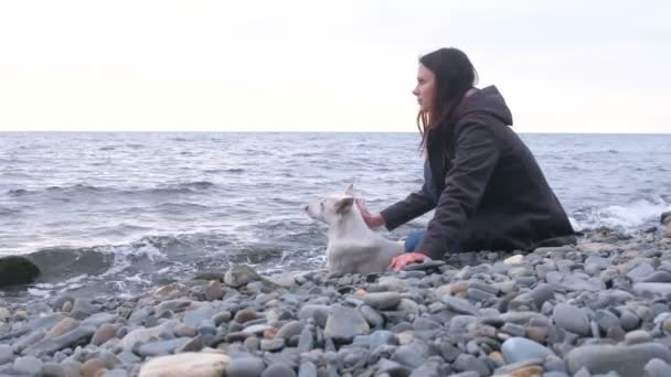 Młoda kobieta siedzi na kamienistej plaży nad morzem z psem biały. — Wideo stockowe