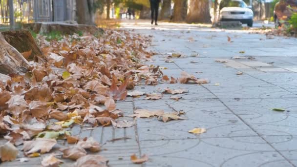 Őszi levelek, a város a járdán sétáló ember a földön. — Stock videók