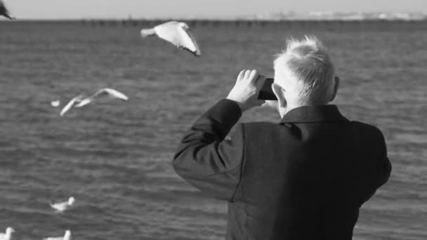 Homem idoso de cabelos grisalhos fotografado em uma paisagem marítima de telefone celular com um cais e gaivotas. Visão traseira . — Vídeo de Stock