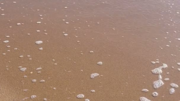 Mjuka havet våg med skum på sandstranden. — Stockvideo
