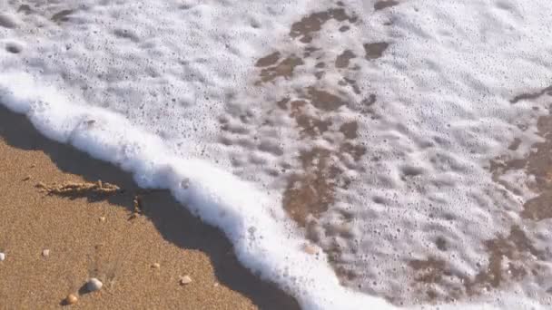 Placas de Euro e Dólar escritas na areia do mar. Ondas lavaram a inscrição . — Vídeo de Stock