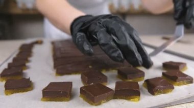 Çikolata şekerleme pralin için dolguları ile kayısı tohum spatula kullanarak bölün. Fırıncılar eller yakın çekim.