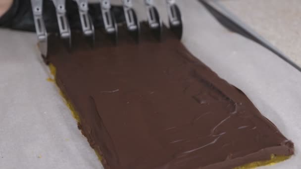 Snijden vullingen voor chocolade snoepjes praliné met abrikoos zaden met wiel RVS cutter. — Stockvideo