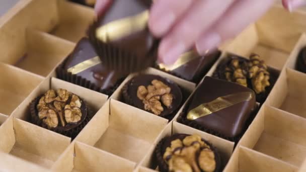 Las manos de los panaderos ponen caramelos de chocolate hechos a mano en una hermosa caja. Caja de regalo de dulces de chocolate . — Vídeo de stock