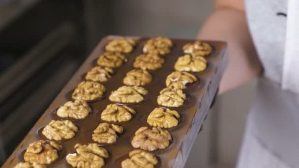 Bakers mãos derramar doces de chocolate com as metades de nozes nas formas de chocolate líquido . — Vídeo de Stock