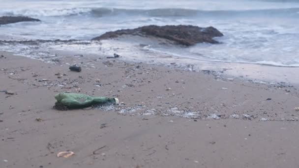 プラスチックの緑ボトルと海辺で砂浜に海藻. — ストック動画