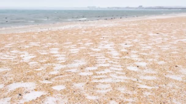 Vinter witn snö på sea sand beach. Vackra seascape. — Stockvideo