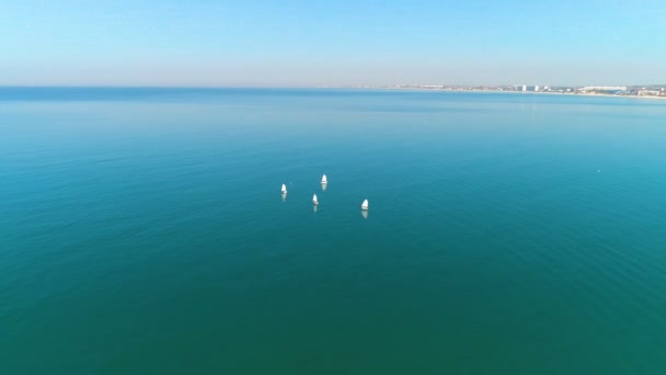 在温暖的晴天 帆船在海上航行的美丽海景鸟图 — 图库视频影像