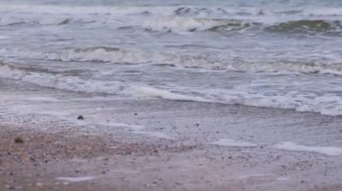 Kum Plajı üzerinde köpük ile fırtınalı uzun dalgalar.