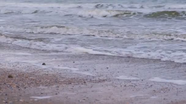 모래 해변에 거품을 가진 폭풍우 긴 파도. — 비디오