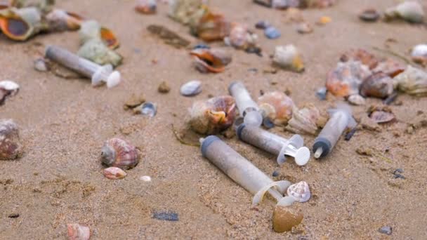 Jeringas médicas entre las conchas de rapán en la arena en la playa de mar después de la tormenta . — Vídeo de stock