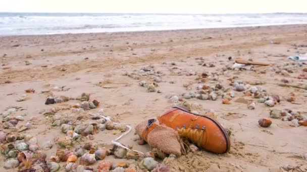 Старий коричневий черевик серед раковин у піску на морському пляжі після шторму . — стокове відео