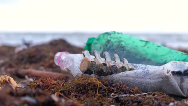 ペットボトル、死んだカニ、動物遺体や嵐の後の砂浜海岸の海藻の間他の破片. — ストック動画